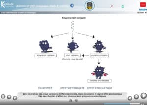 Grandeurs et effets biologiques